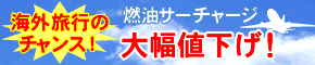 ǳ���������㡼�����ʥ�󥭥�